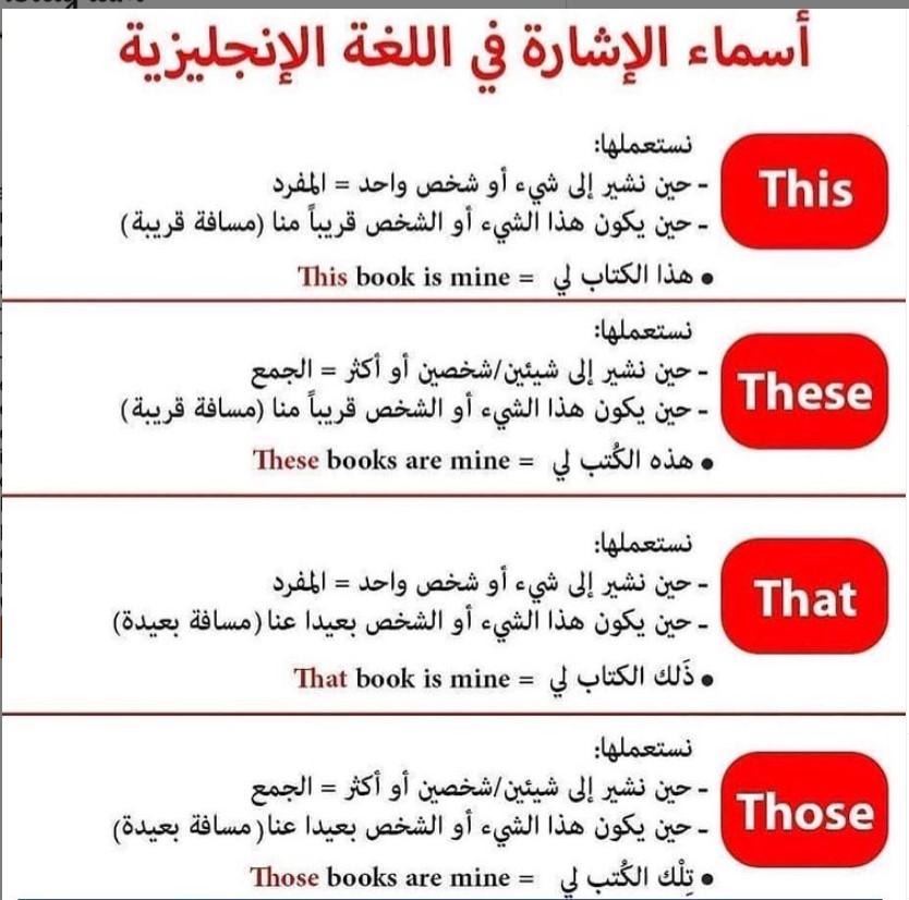 ���� ����� ������� �������� �����
