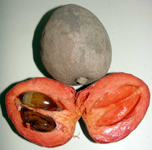 ����� ���� Mamey