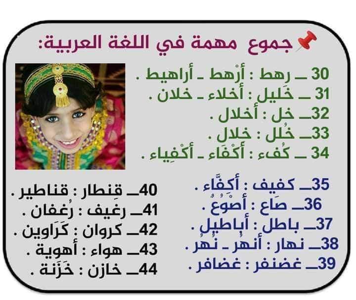 ���� ���� ����� �������